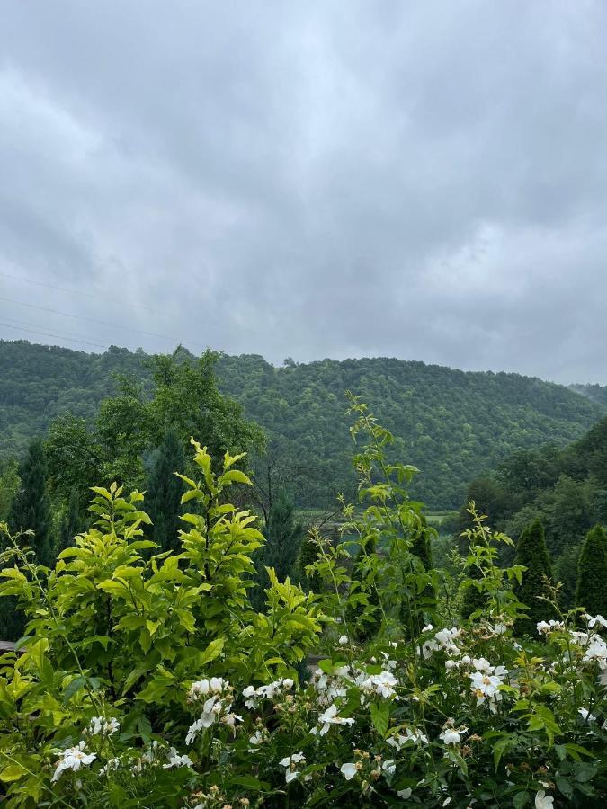 Bihać Villa Nature מראה חיצוני תמונה